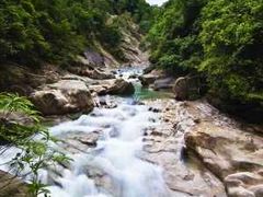 -九龙江国家森林公园