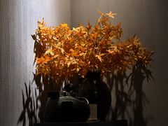 -Dragonfly 悠庭·按摩Spa(苏州中心广场店)