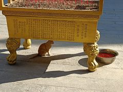 -华林禅寺
