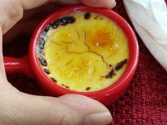 -视界美食自助餐厅·石家庄希尔顿酒店