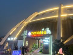 -丁老爷子苏香圆