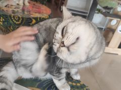 -平行世界·猫咖(首经贸店)