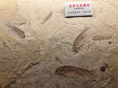 -福州科技馆