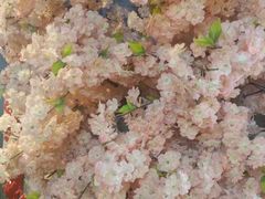 -南京时尚莱迪购物广场(正洪街店)