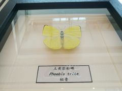 -宁波鄞州万达广场