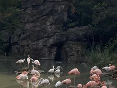 -宁波野生动物园