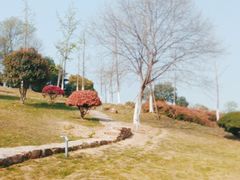 -滨湖塘西河公园