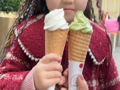 -麦丽丝红油辣椒冰淇淋(江家巷店)