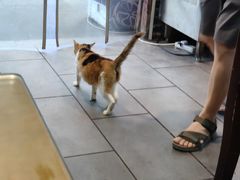 -华兴街煎蛋面(总店)