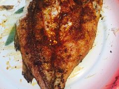 新疆风味餐厅-新疆风味冷水鱼庄(友谊峰路店)