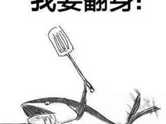 -四川大学(华西校区)