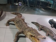 -泉城欧乐堡海洋极地世界
