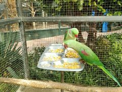 -大连森林动物园