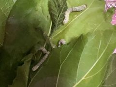 -北京市邮政管理局海慧寺幼儿园