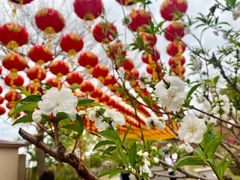 -广州莲花山旅游区