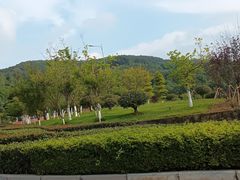 -铁山坪森林公园