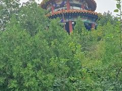 -府君山公园