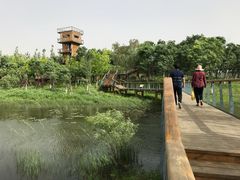 -东郊湿地公园