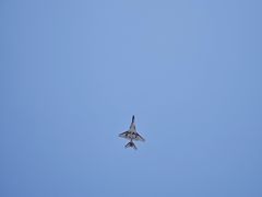 -龙香居海鲜浑锅家常菜·特色驴肉