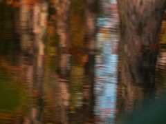 -白鹭湾湿地公园