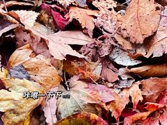 -本溪老边沟风景区