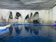 -太平洋海底世界