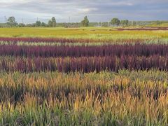 -稻梦空间冰雪小镇