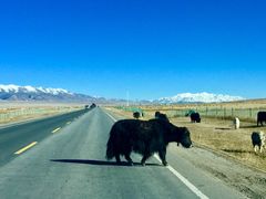 -青海湖国家重点风景名胜区