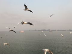 -西昌邛海湿地