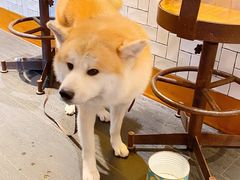 -BOCATA 西班牙餐厅(三里屯店)