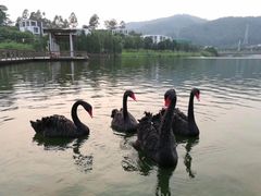 -中国移动南方基地