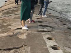 -东疆建设开发纪念公园