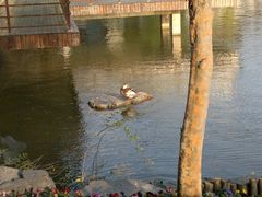 外景-上海怡沁园度假酒店