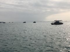 -巽寮湾