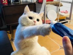 -八喜冰淇淋蛋糕(富国店)