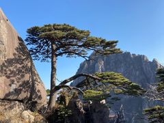 -黄山风景区