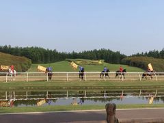 -迪茵湖田家舍生态农场