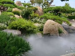 -罗红摄影艺术馆