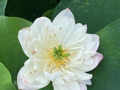 -澳门环岛游湾仔码头