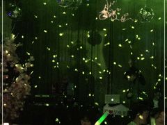 -胡桃里音乐酒馆(四道口店)