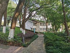 -上海市保健医疗中心