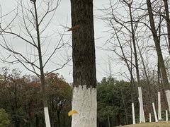 -艾溪湖湿地公园