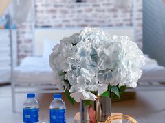 -安德鲁户外烧烤帐篷营地(马泉营店)