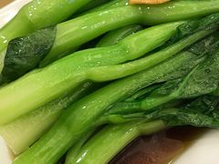 -金时代顺风大酒店(协泰店)