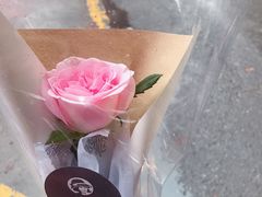 -植物学家的女儿(北马道巷店)