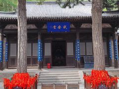 -雁门关景区