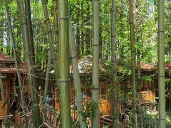 -日照海滨国家森林公园