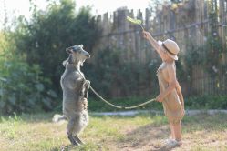 -DORA kids 朵拉儿童摄影花园店