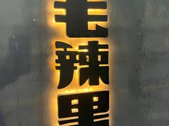 -毛辣果·酸