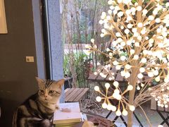 -咖法森林·咖啡  酒吧(天河店)